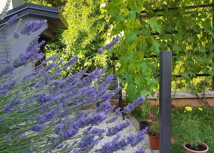 Rogic Lägenhet Lovran